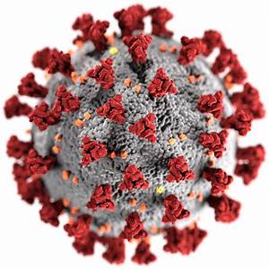 upload_Coronavirus.jpg